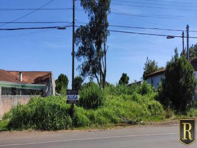 Terreno para Locação, em Guarapuava, bairro Vila Bela